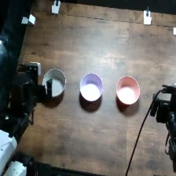 Stack Bowls: initial top-camera view