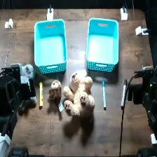 Sort Objects: initial top-camera view